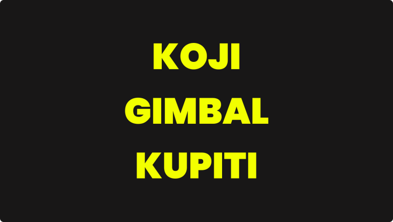 PREPORUKA ZA KUPOVINU GIMBALA